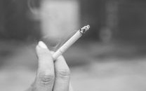 散裝煙葉選購(gòu)指南：新手必看的省錢(qián)技巧與避坑要點(diǎn)